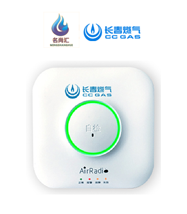 南宫NG28报警器（天然气）